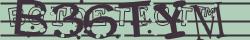 Retype the CAPTCHA code from the image