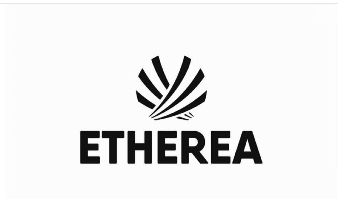 Logo do site